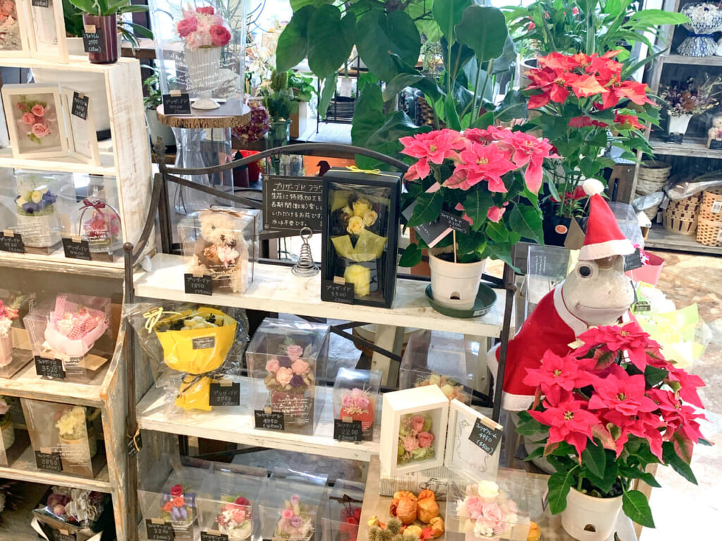 今治市東門町にあるフジグラン今治内にお店を構える「花屋百太郎」で11月22日に向けて花束やアレンジメントを作成しています。