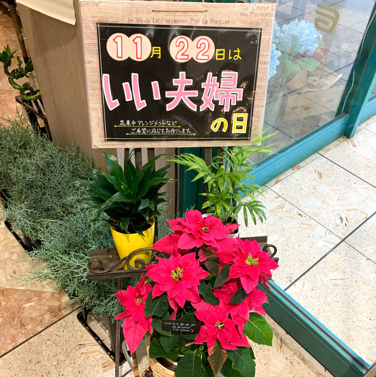 今治市東門町にあるフジグラン今治内にお店を構える「花屋百太郎」で11月22日に向けて花束やアレンジメントを作成しています。