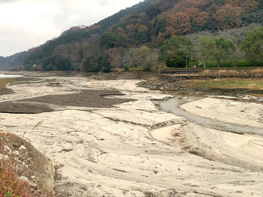 貯水率が例年と比較しても低いため、節水を心がけましょう!!