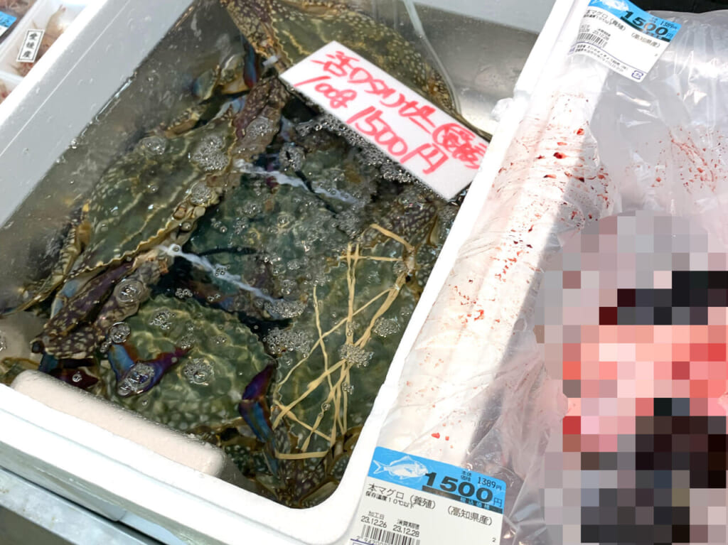 中寺の「さいさいきて屋」は今治でもトップクラスの規模の市場です!!