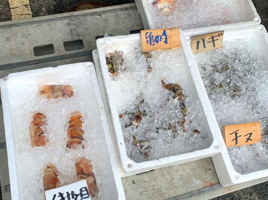 天保山町にある「今治おさかな市場」では新鮮な魚介類を買うことができます!!