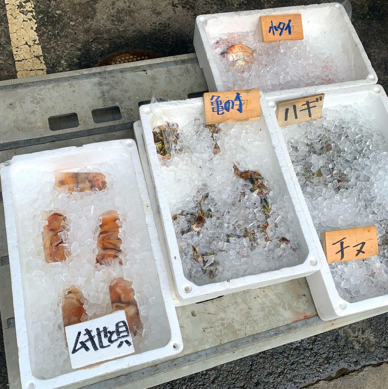 天保山町にある「今治おさかな市場」では新鮮な魚介類を買うことができます!!