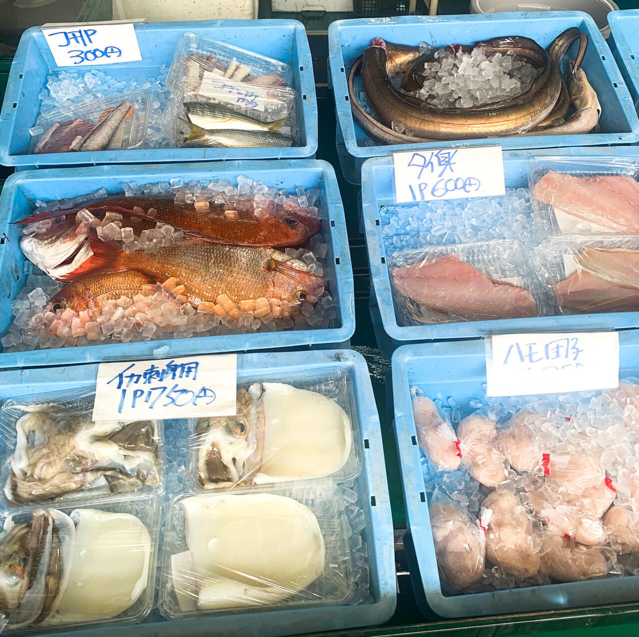 天保山町にある「今治おさかな市場」で4月18日から北海道産のカニの取り扱いが始まります!!