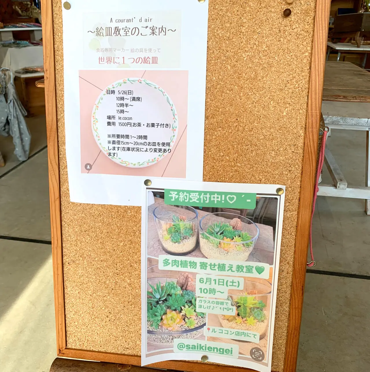 横田町の「le cocon(ル ココン)」では多種多様な雑貨や多肉植物を見ながら、ゆったりとした時間を過ごせます!!