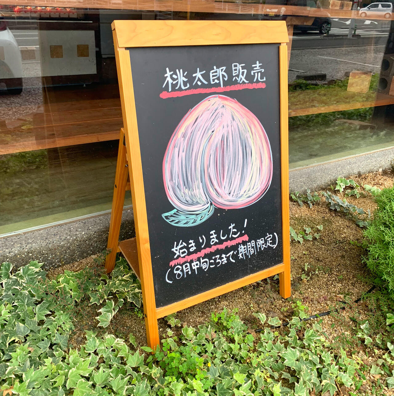 東村の人気店「西洋菓子 ツカサ」で桃を丸ごと使用した贅沢スイーツ「桃太郎」が販売中!!