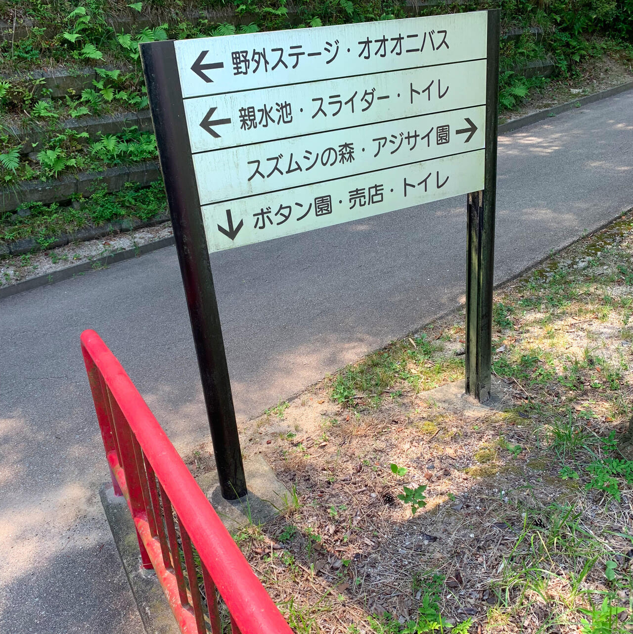 世界一大きな葉をつける水生植物に乗ってみよう!「オオオニバス」試乗体験が開催されます!
