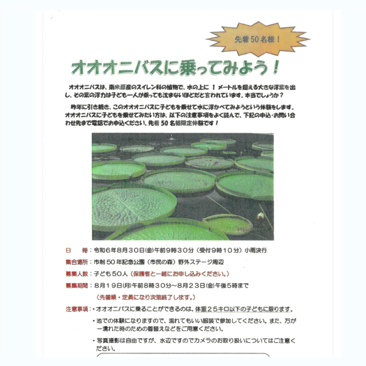 世界一大きな葉をつける水生植物に乗ってみよう!「オオオニバス」試乗体験が開催されます!