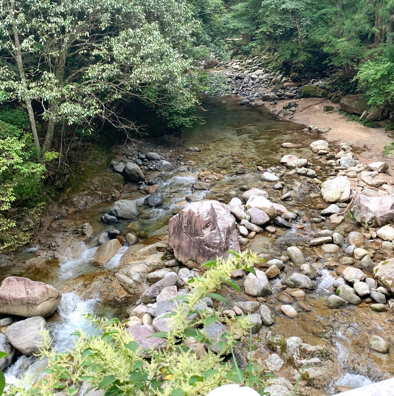 鈍川温泉郷でニジマス釣りやBBQを楽しめる釣り堀「つりぼり鈍川VILLAGE」へと行ってみました!!