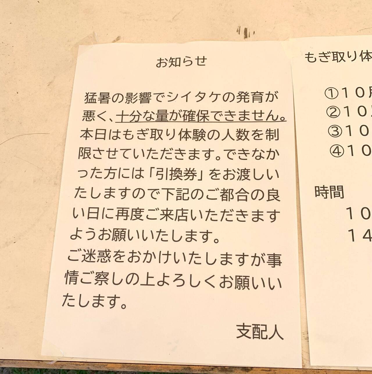 「シイタケまつり収穫祭2024」にお邪魔させて頂きました!!