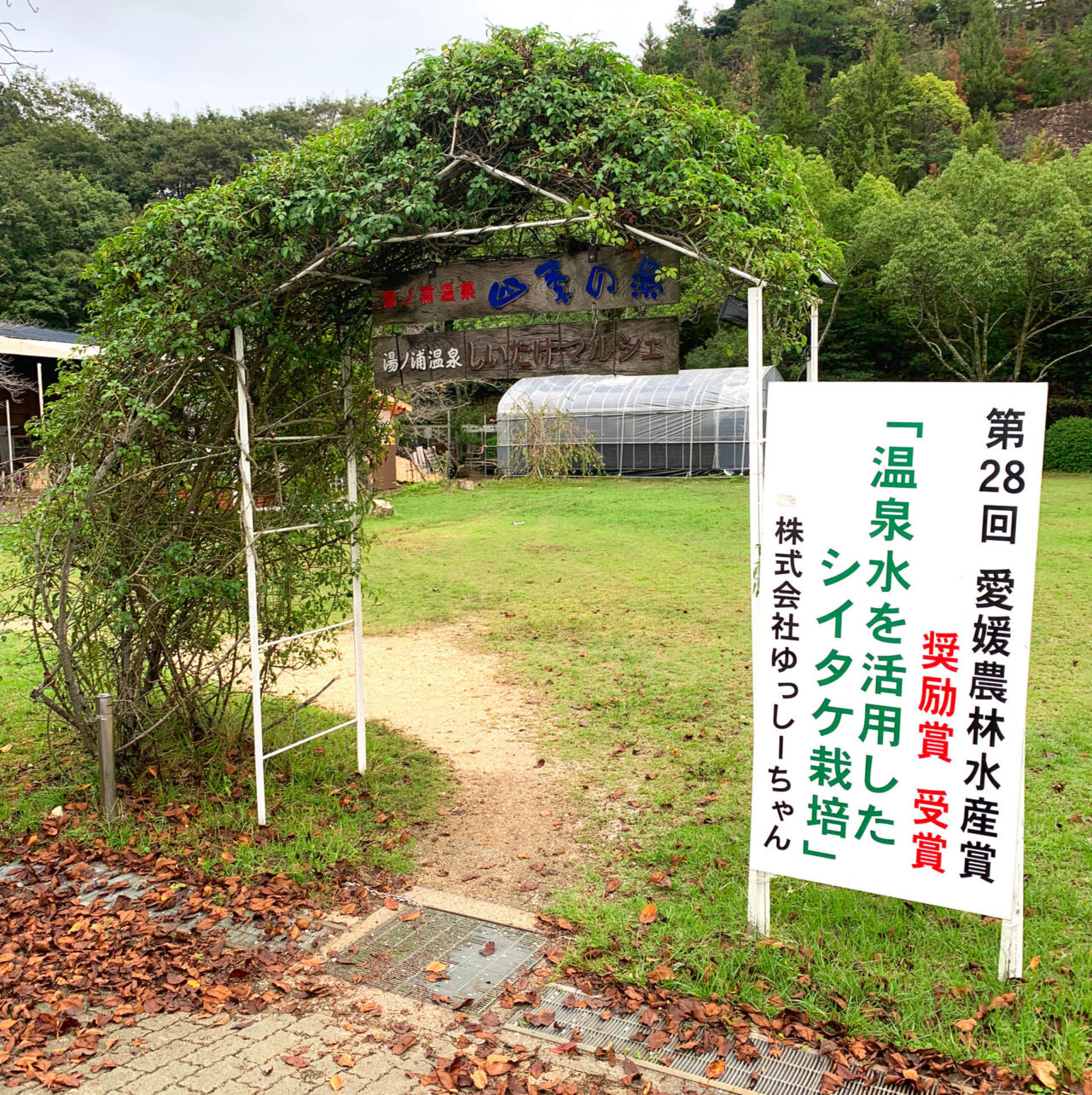 湯ノ浦にある「湯ノ浦温泉四季の湯広場」で温泉で育ったしいたけの収穫体験イベントが開催されます!!