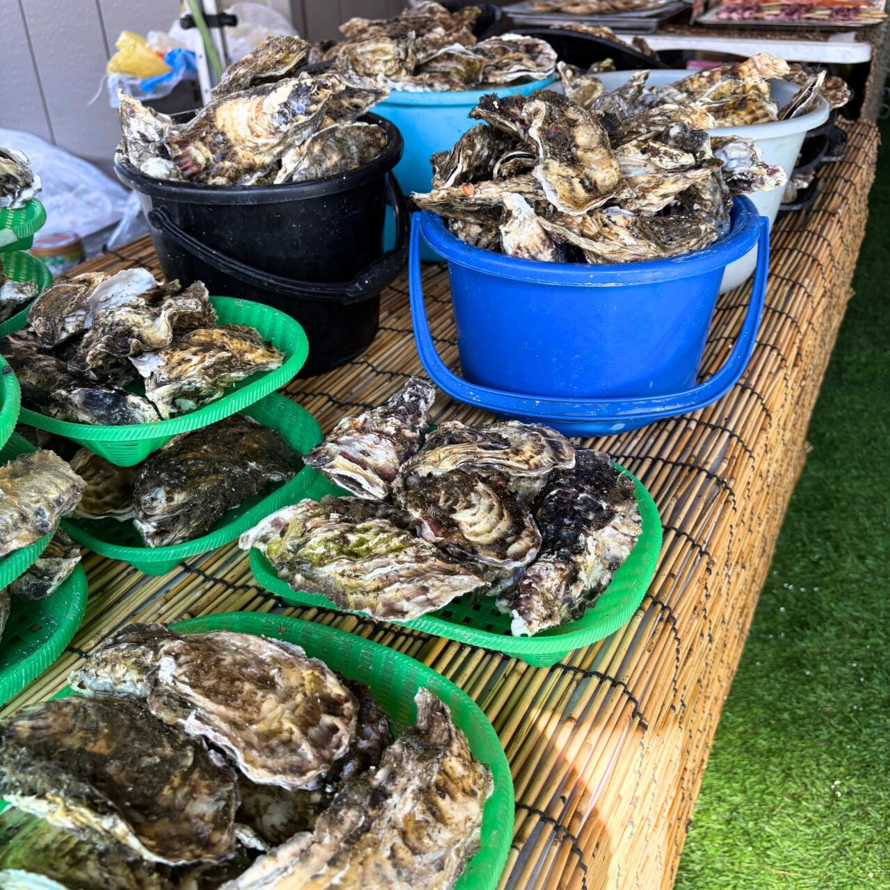 【今治市】宮城産の牡蠣を満喫! 「出張カキ小屋 牡蠣奉行」に行ってみました!