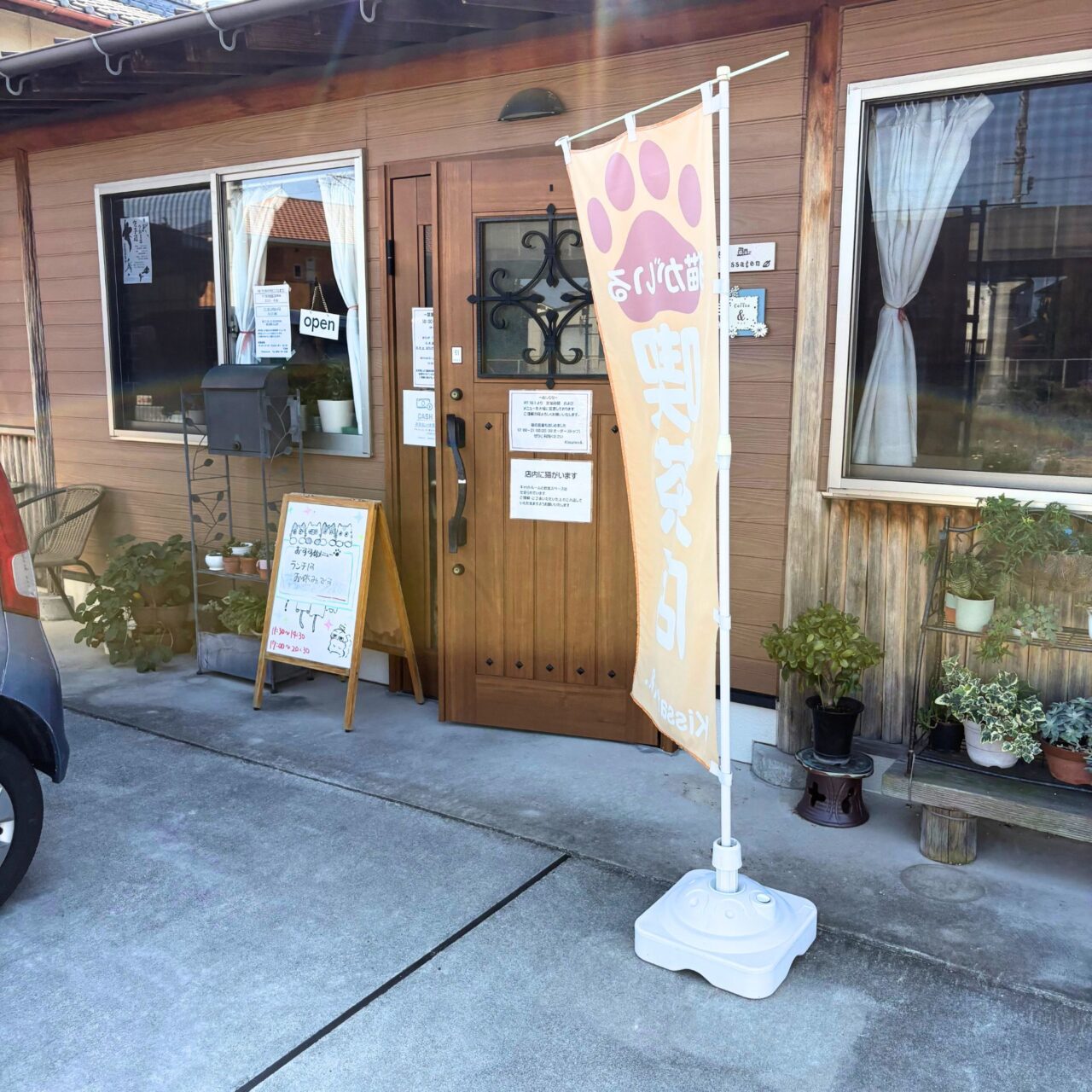 【今治市】10月1日から夜の部もスタートした宮下町の「Kissaten&.」では猫ちゃんと戯れる至福の時間を体験できます