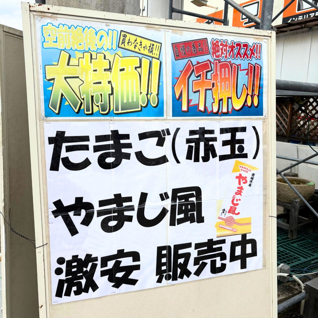 【今治市】たまご1パック260円! 「エヌケイ・ホームアウトレット＆リサイクル生活館」を探検してみよう!