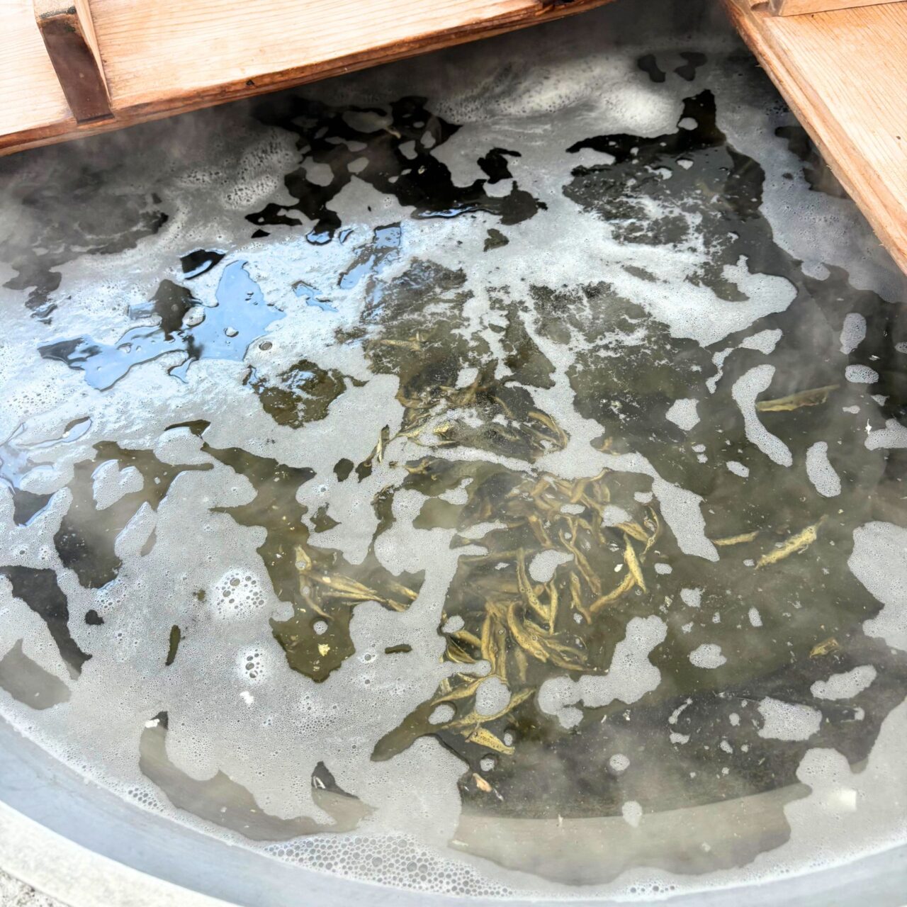 【今治市】地域活性とコミュニケーションの場。今治市鳥生公民館で開催された「第49回文化祭」に行ってみたよ!