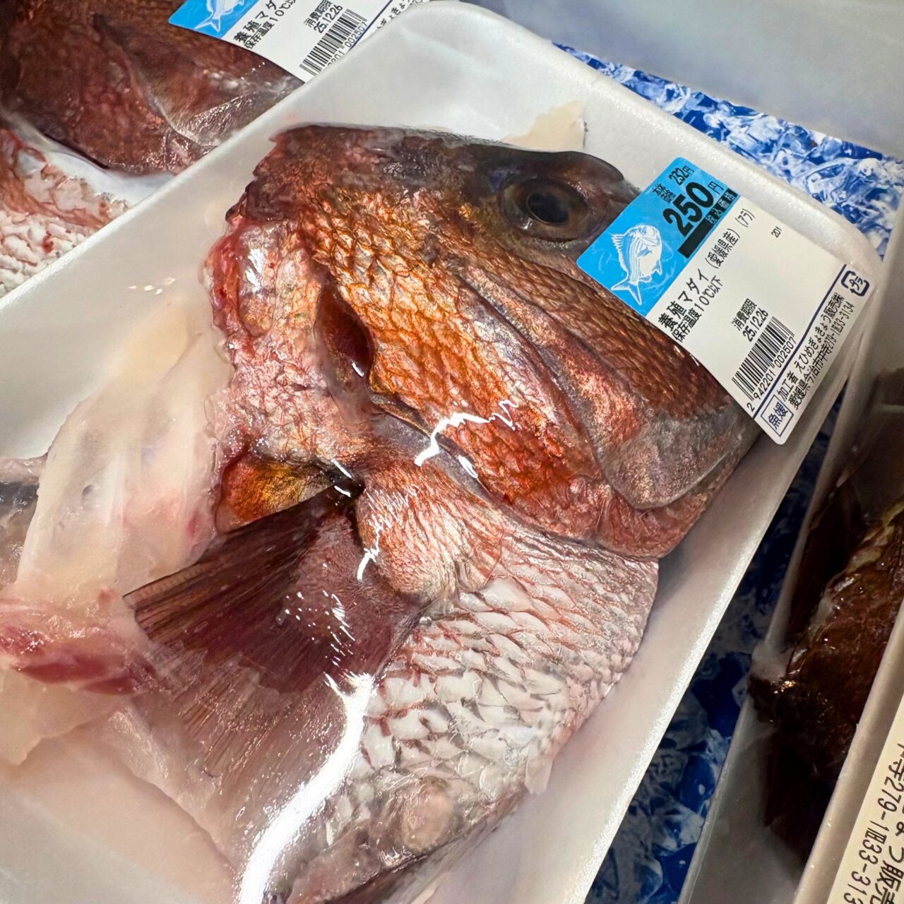 【今治市】家族が揃う年末年始。「さいさいきてや」にはお正月に向けた地元の食材が盛りだくさん!