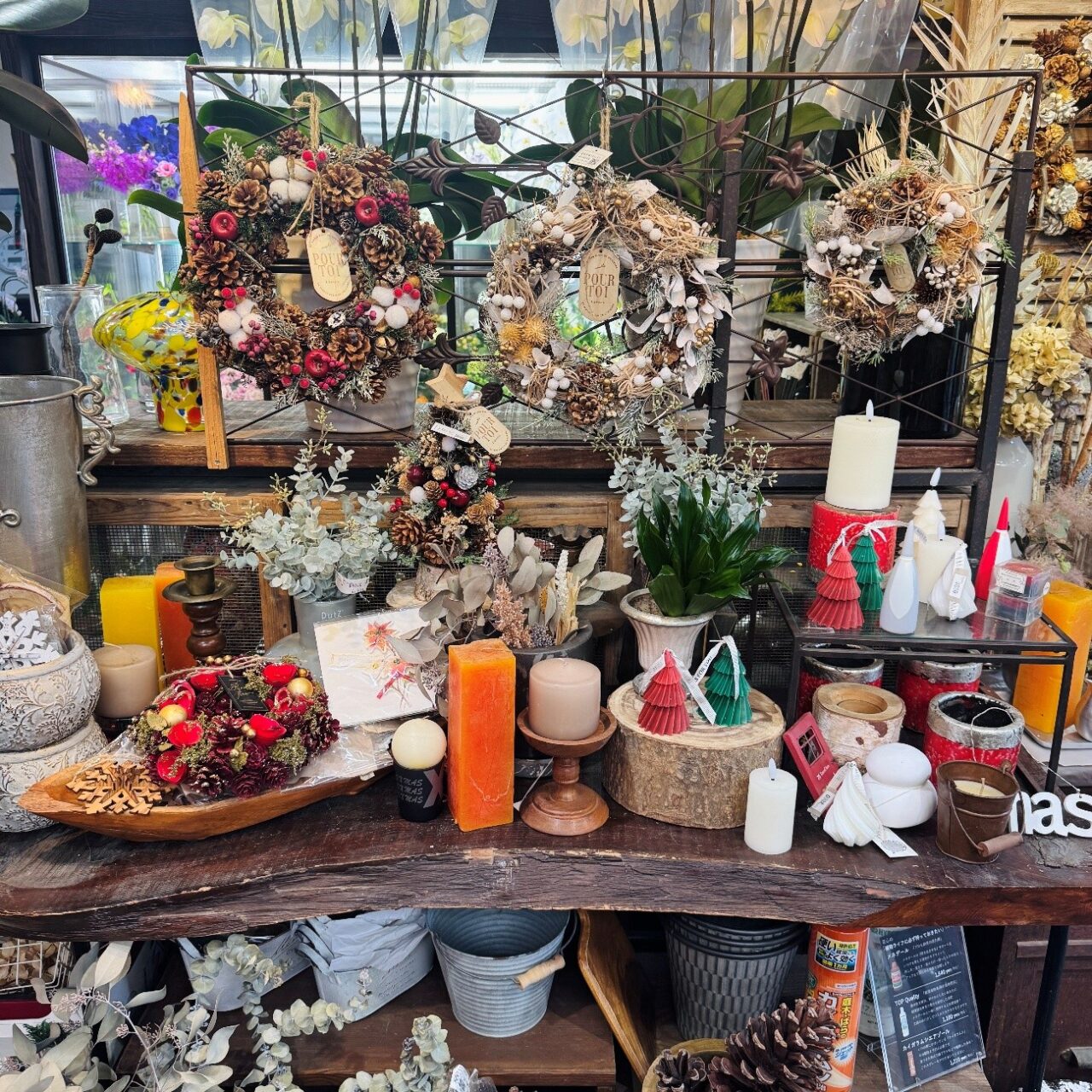 【今治市】「季節の花 花心」で心が弾む贈り物を発見! クリスマスや正月飾りも登場