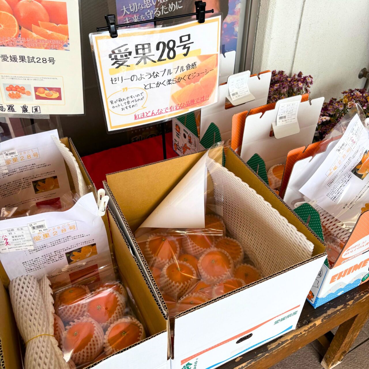【今治市】1月はほたてバター塩ラーメン! 伯方島の道の駅「マリンオアシスはかた」の月間限定ラーメンをご紹介