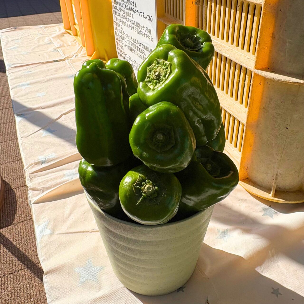 【今治市】はーばりーでイタリアの食と文化を楽しめるイベント「アミタリア愛媛」が開催されました!
