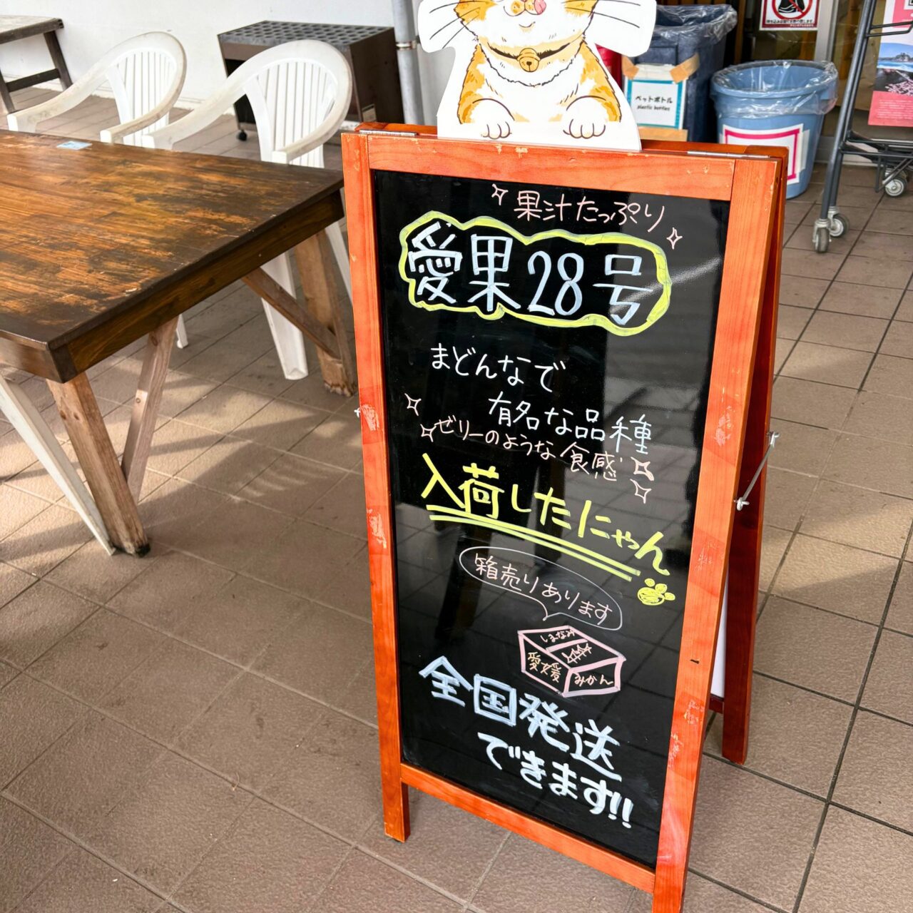 【今治市】1月はほたてバター塩ラーメン! 伯方島の道の駅「マリンオアシスはかた」の月間限定ラーメンをご紹介