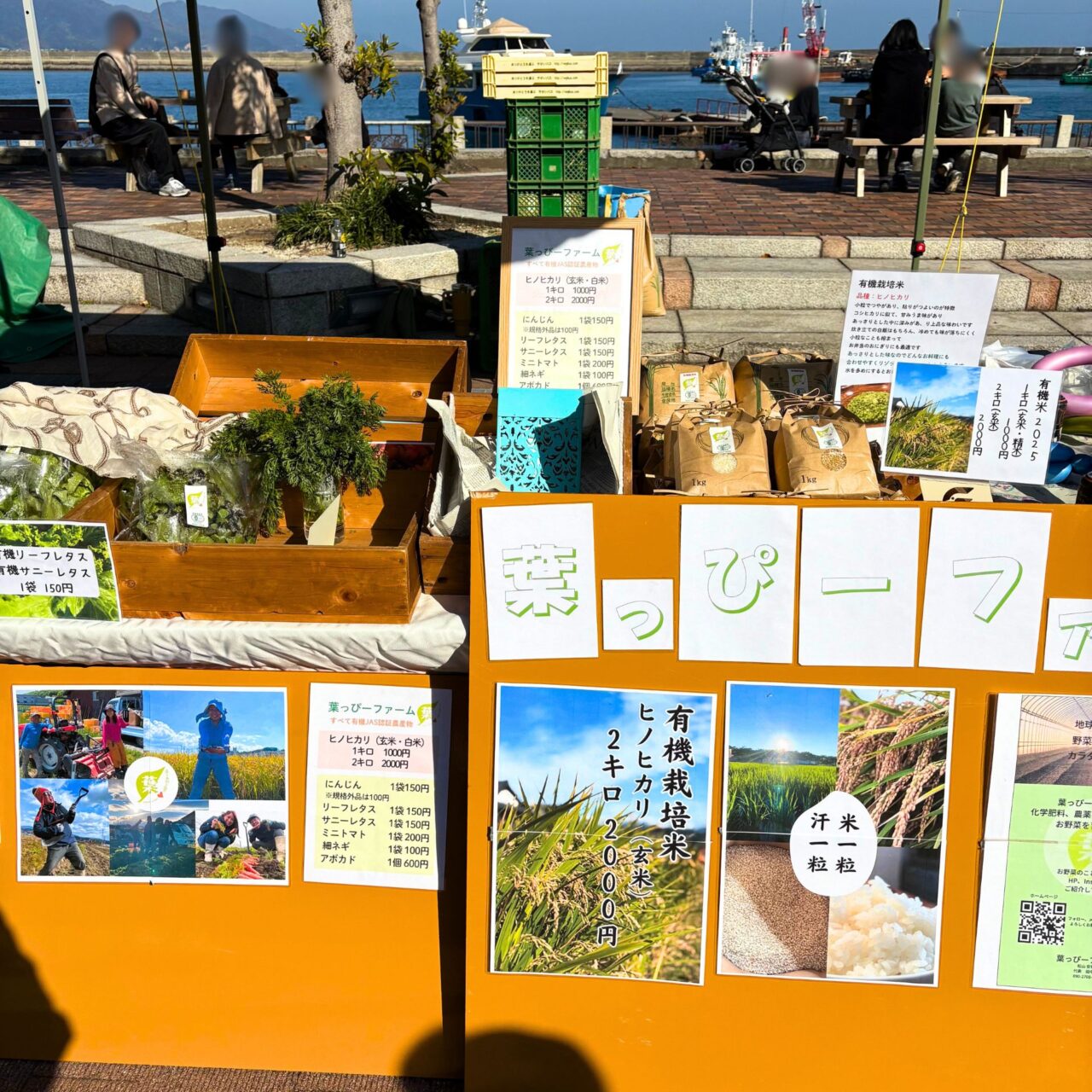 【今治市】はーばりーでイタリアの食と文化を楽しめるイベント「アミタリア愛媛」が開催されました!