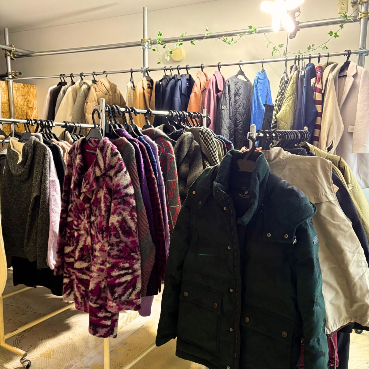 【今治市】全商品20パーセントオフ!? 海外古着を取り扱う「古着屋MAAR」でオープン1周年祭が開催予定!