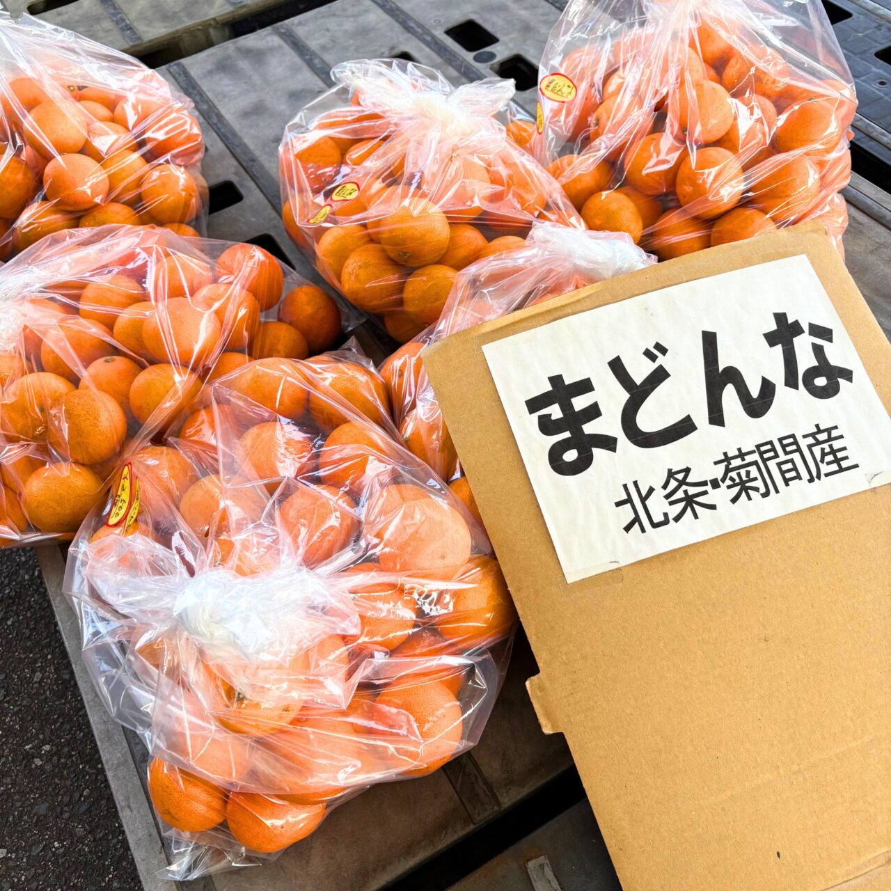 【今治市】月曜日は冷凍食品半額!? 「生鮮市場まるひろ」をご紹介!