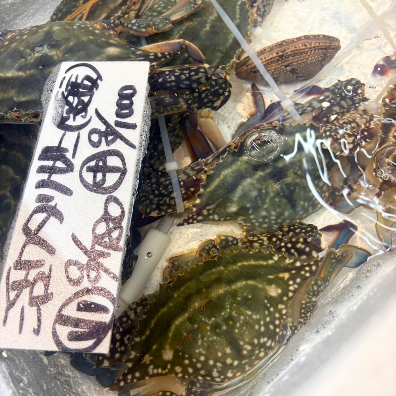 【今治市】家族が揃う年末年始。「さいさいきてや」にはお正月に向けた地元の食材が盛りだくさん!