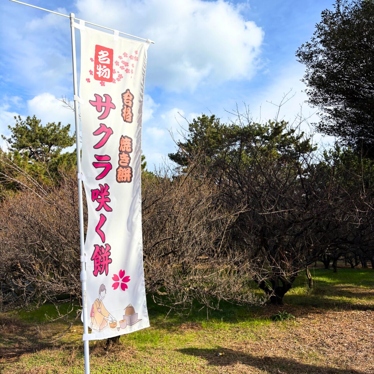 【今治市】新年のお参りにはもう行った? 定番の初詣スポット「綱敷天満宮」についてご紹介