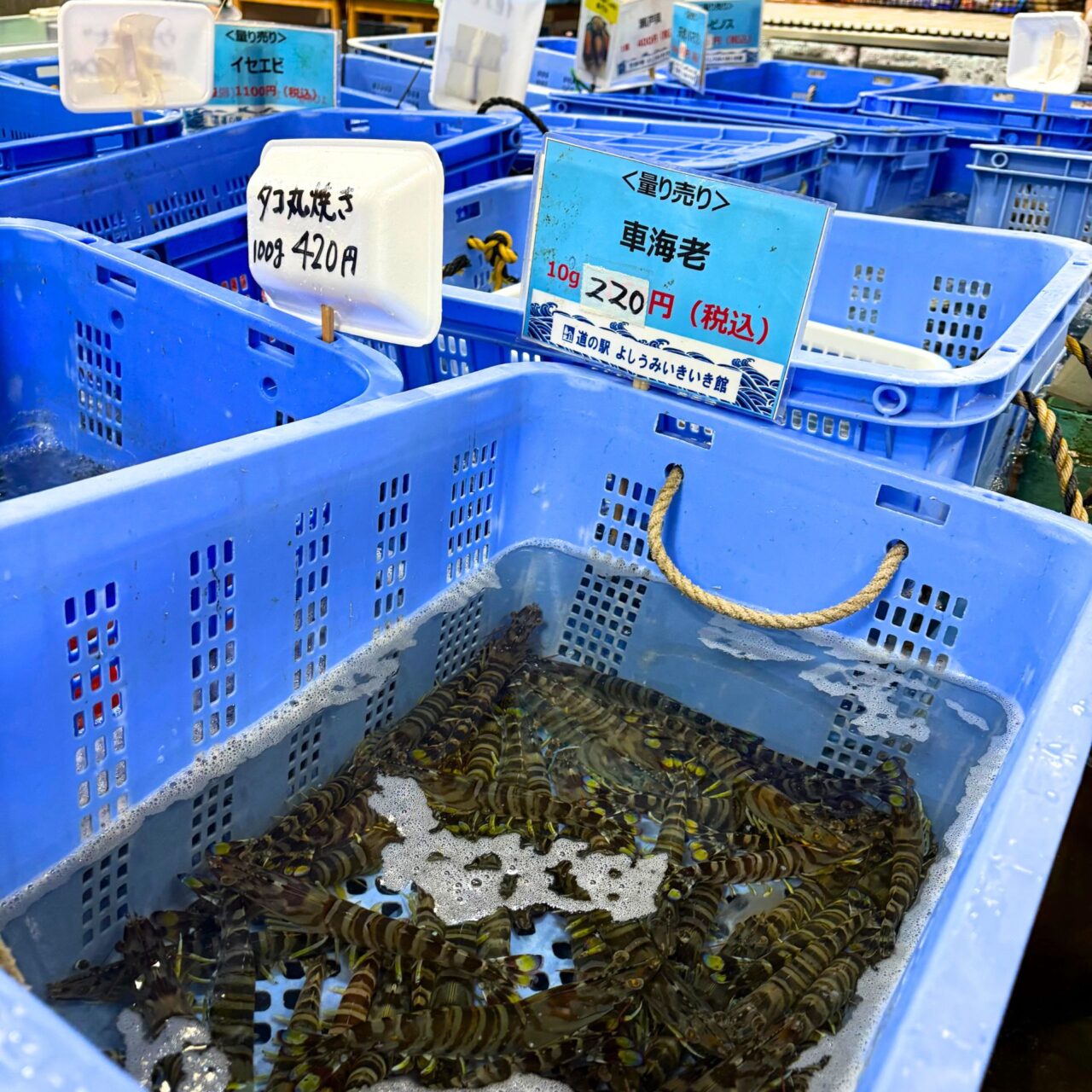 【今治市】お正月といえばカニ! よしうみいきいき館で「紅ズワイガニ食べ放題」がスタート!