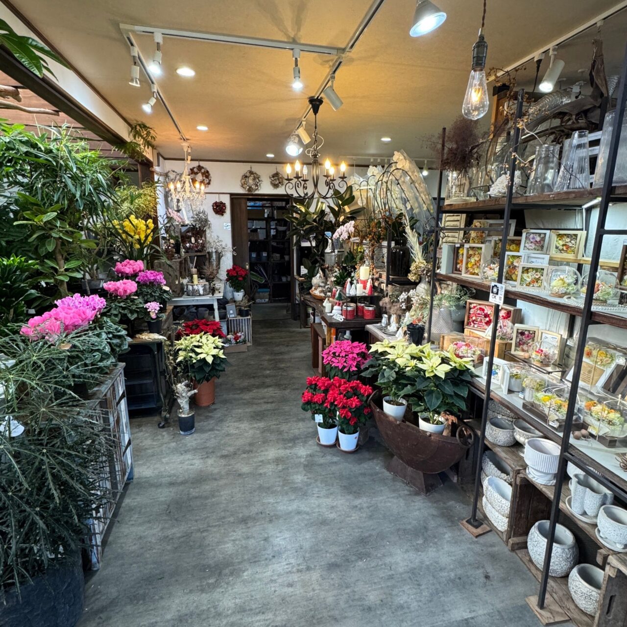 【今治市】「季節の花 花心」で心が弾む贈り物を発見! クリスマスや正月飾りも登場