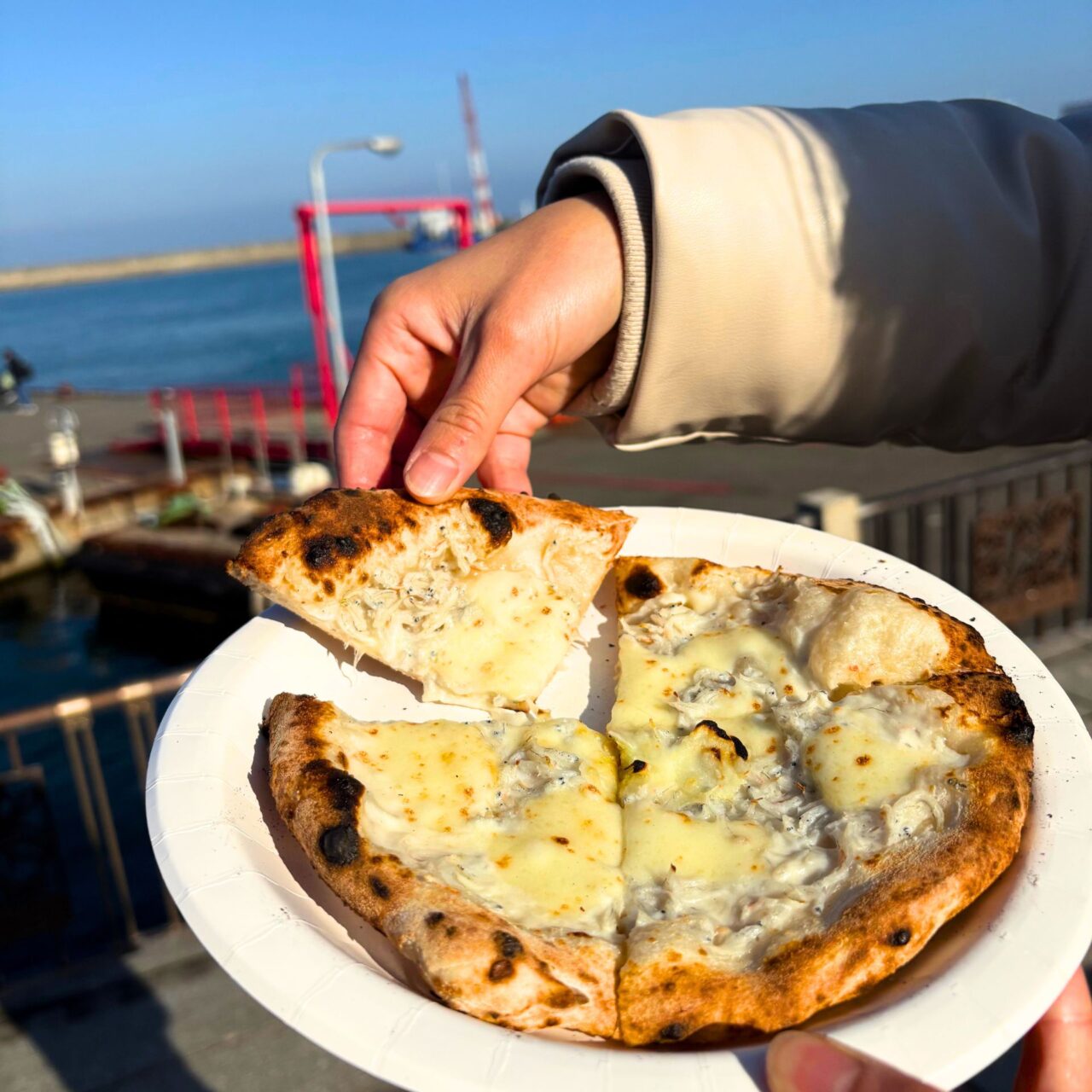 【今治市】はーばりーでイタリアの食と文化を楽しめるイベント「アミタリア愛媛」が開催されました!