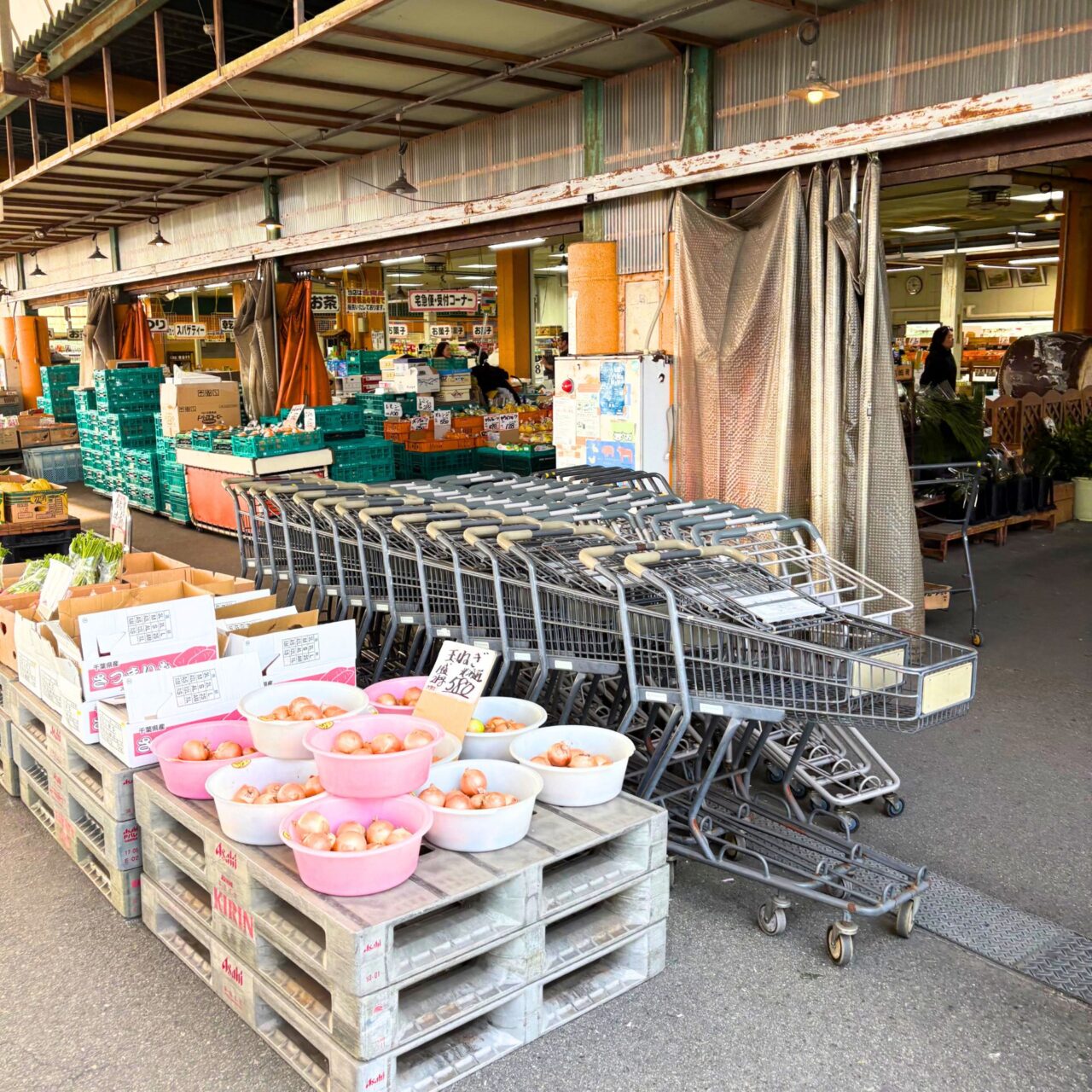 【今治市】月曜日は冷凍食品半額!? 「生鮮市場まるひろ」をご紹介!