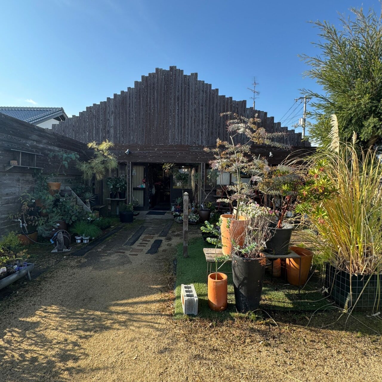 【今治市】「季節の花 花心」で心が弾む贈り物を発見! クリスマスや正月飾りも登場