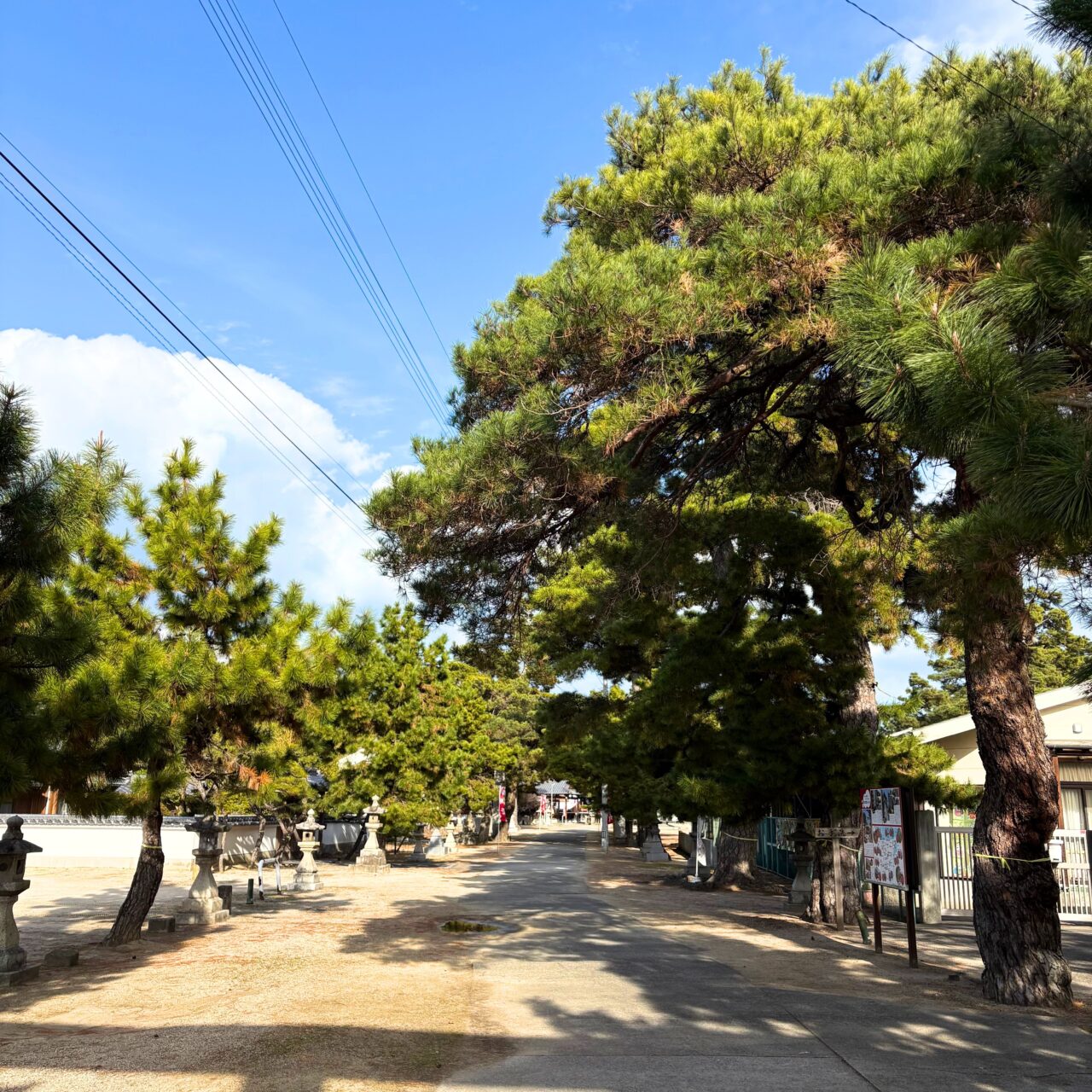 【今治市】新年のお参りにはもう行った? 定番の初詣スポット「綱敷天満宮」についてご紹介