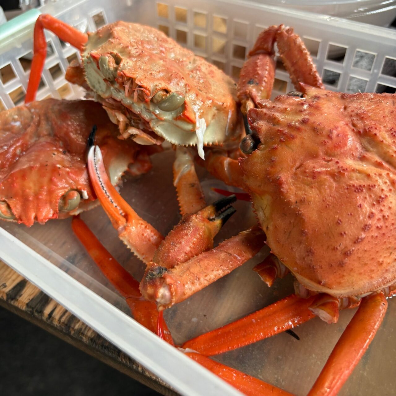 【今治市】お正月といえばカニ! よしうみいきいき館で「紅ズワイガニ食べ放題」がスタート!