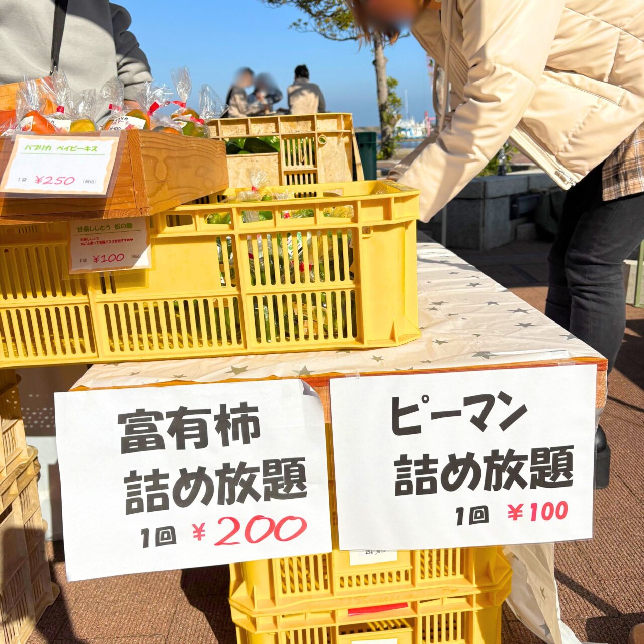 【今治市】はーばりーでイタリアの食と文化を楽しめるイベント「アミタリア愛媛」が開催されました!