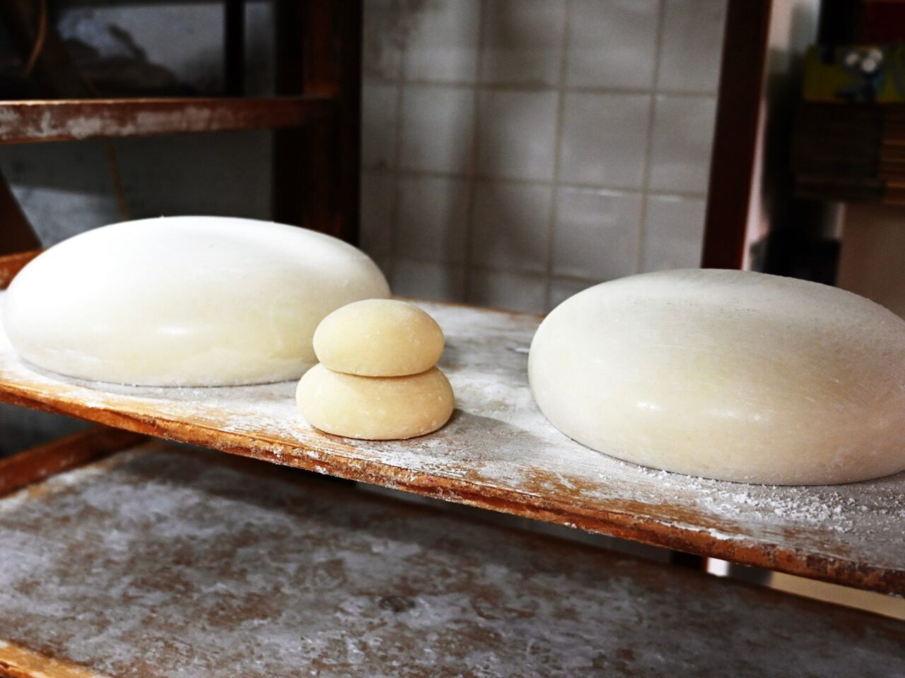 【今治市】創業270年以上「あわびや餅店」へ。つきたて餅・バズったモッフル・手作り桜餅が勢揃い