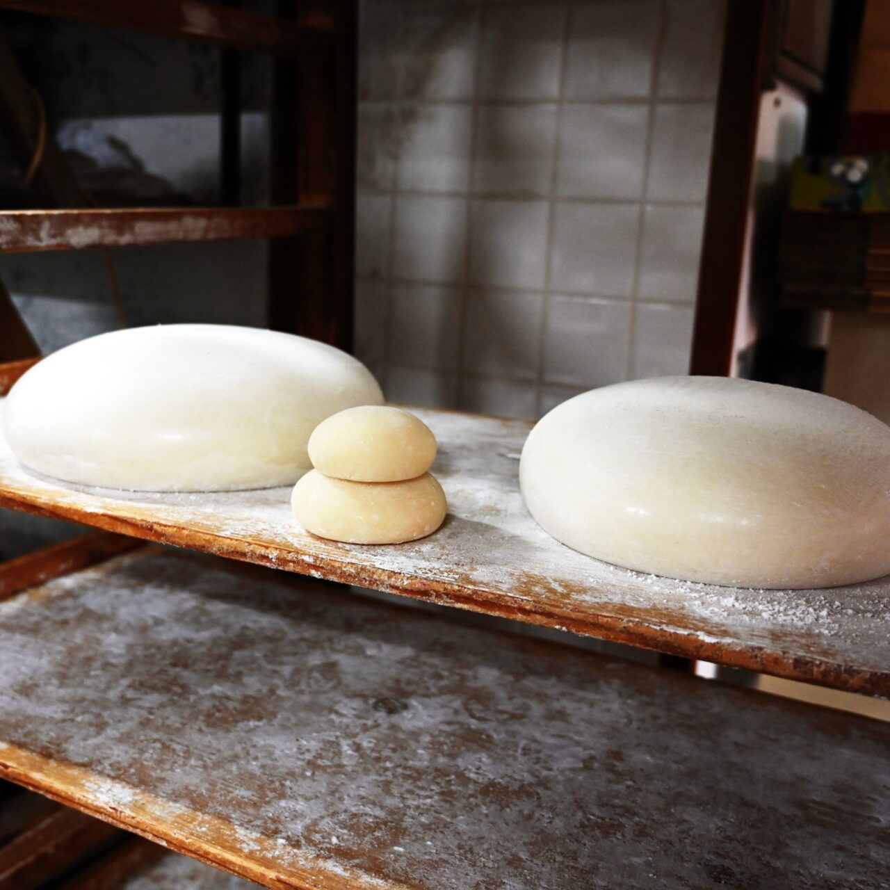 【今治市】創業270年以上「あわびや餅店」へ。つきたて餅・バズったモッフル・手作り桜餅が勢揃い