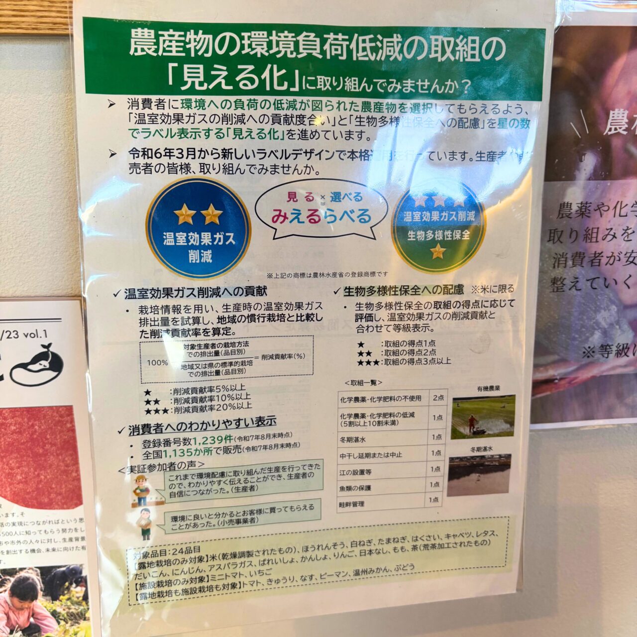 【今治市】郷新屋敷町の「旬菓 槐」でオープン2周年記念の特別クーポンが配布中!