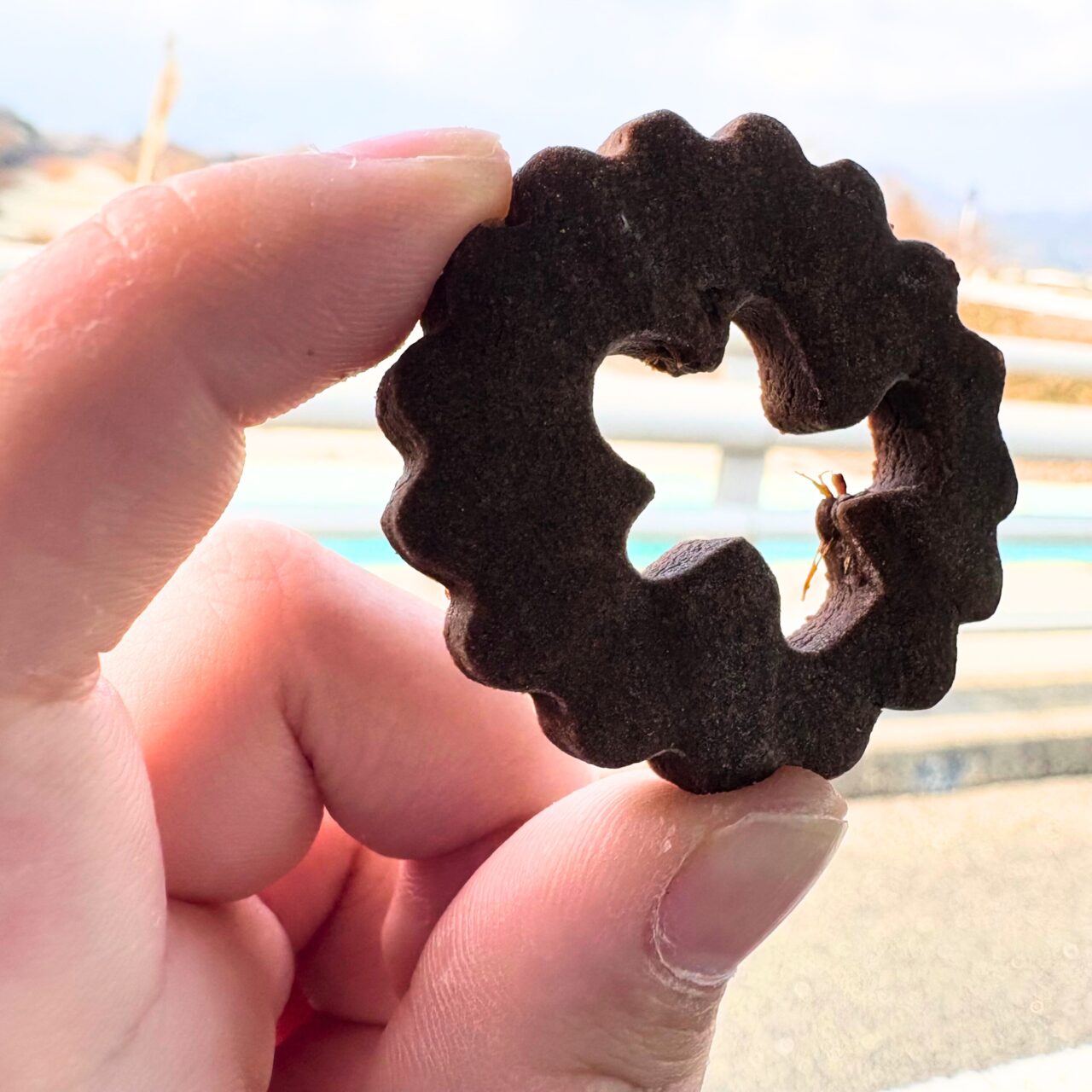 【西条市】「OKOME sweets n2」で小麦アレルギーのシェフが作り出す米粉スイーツを堪能