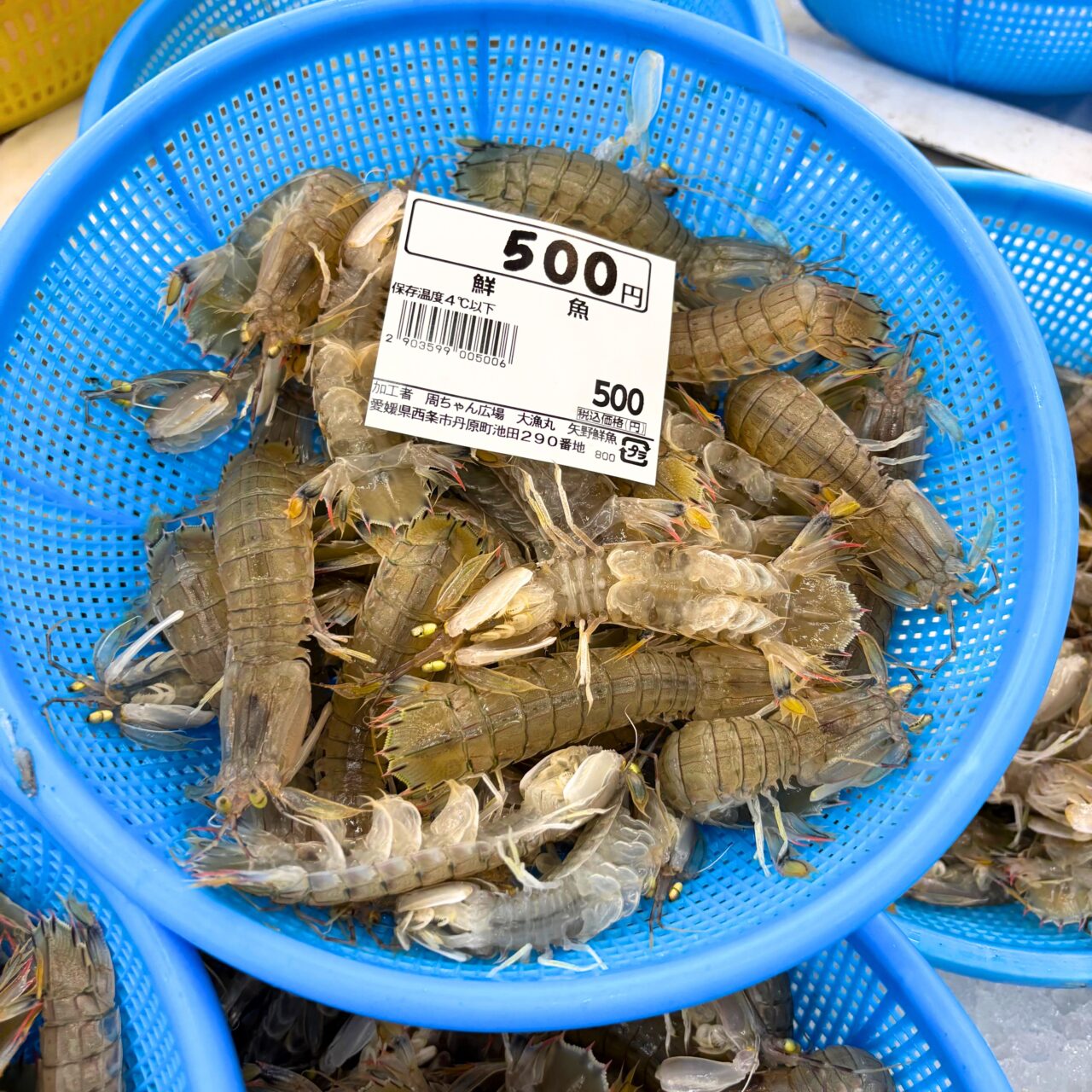 【西条市】四国でも最大級の直販所「周ちゃん広場」で節分に向けた恵方巻きの予約が始まっていました