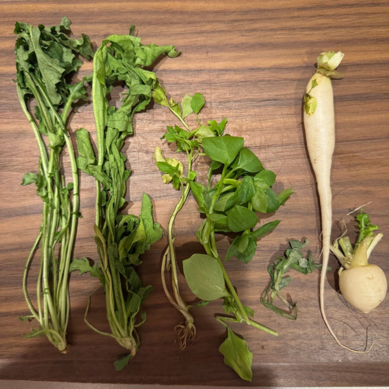 【西条市】西条の名水で育った「西条の七草」で一年の無病息災を祈る