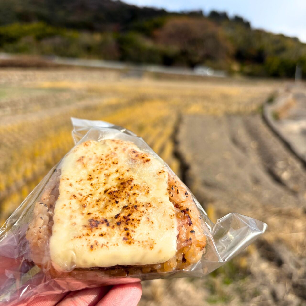 【西条市】先月オープンしたばかりの「おむすび屋まるちゃん」の魅力的なおむすびたちをご紹介!