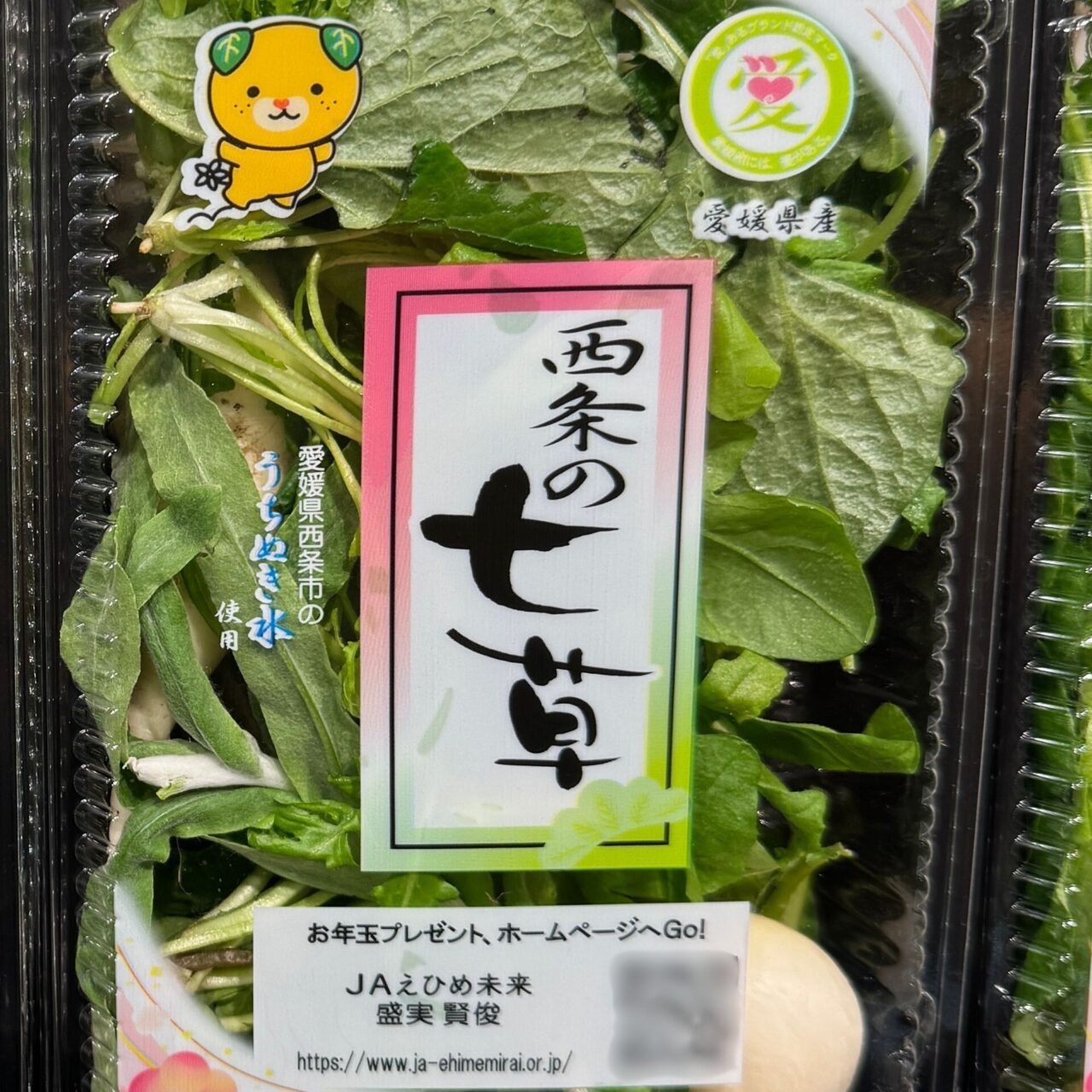 【西条市】西条の名水で育った「西条の七草」で一年の無病息災を祈る