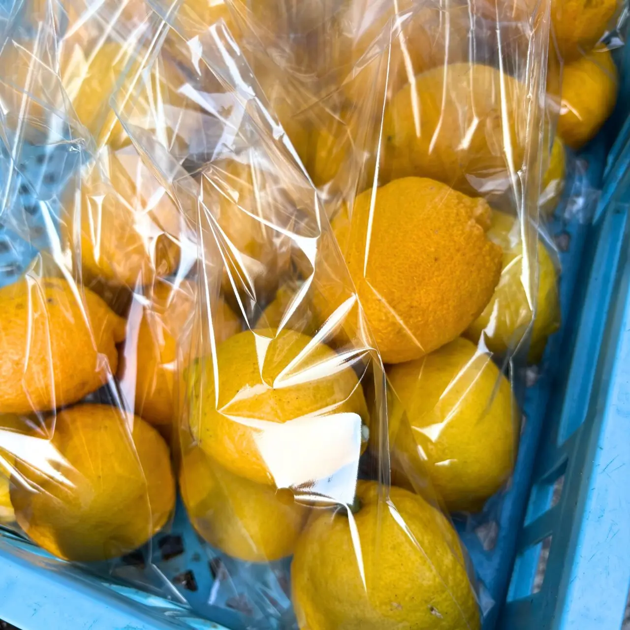 【今治市】3000円分の商品が詰まった福袋を1000円で買っちゃおう! 「エコステーションはるかす」でマルシェが開催