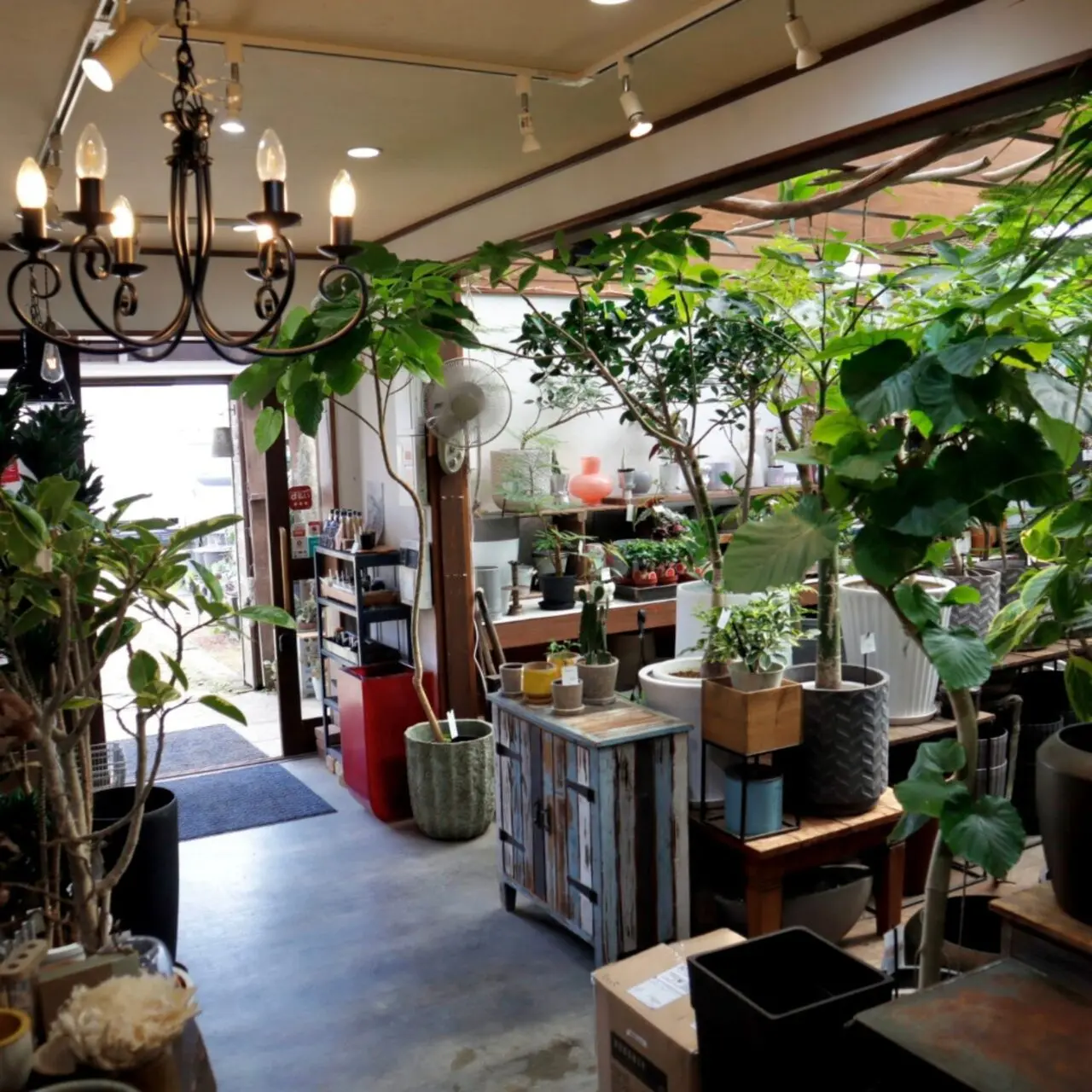 【今治市】「季節の花 花心」2026年ホワイトデー特集。今治で花瓶不要エコブーケ