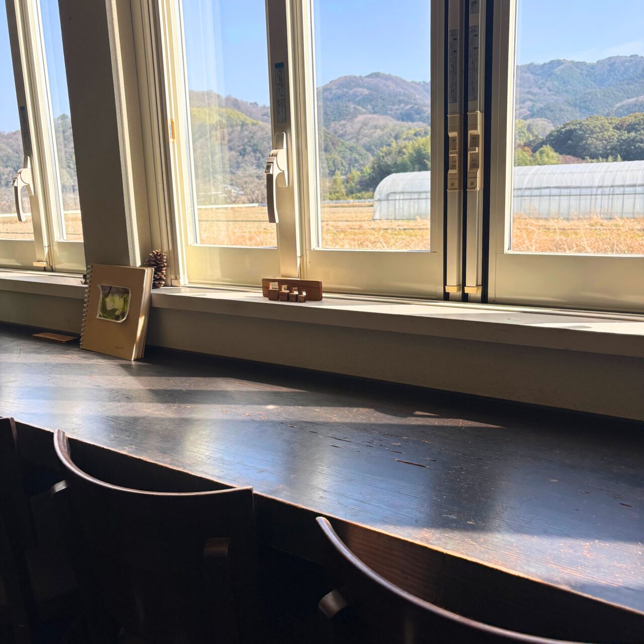 【今治市】おいしさと健康の両立。マクロビオティックなお店「カフェ・マグノリア」が間も無くオープン20周年を迎えます!