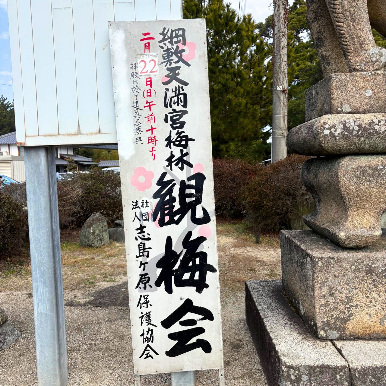 【今治市】桜井の綱式天満神社で梅が見頃に。観梅会も近日開催!