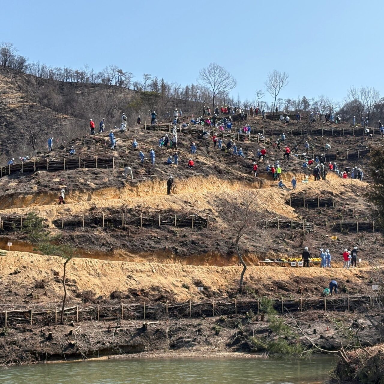【今治市】朝倉に緑を取り戻そう! 林野火災後の森を取り戻す植樹活動に密着。