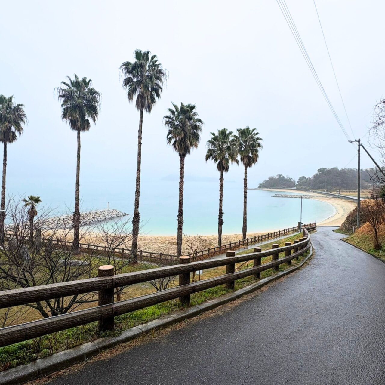【今治市】桜散歩を楽しもう! 景色がきれいなお花見スポット3選